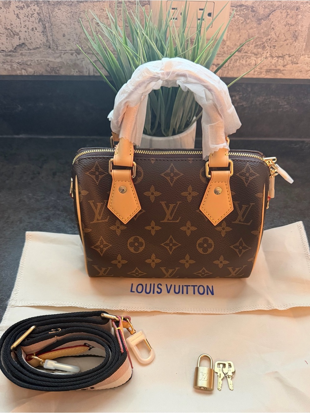 Louis Vuitton Speedy 20cm